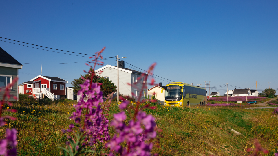 Lenke til artikkel: Presisering i reisegarantien for buss