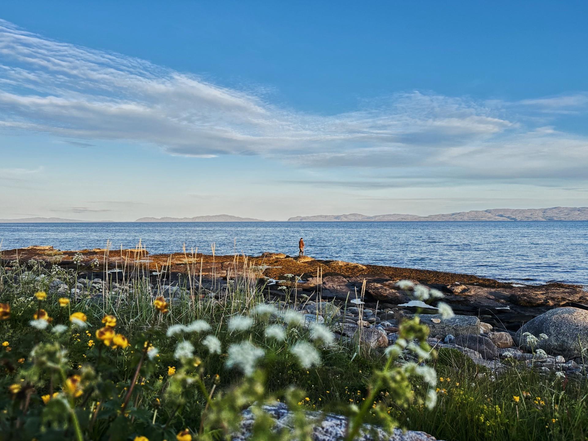 En sommerdag i Varangerfjorden. Man kan se en mann fiske ved svaberget. I forgrunnen kan man se villblomster.