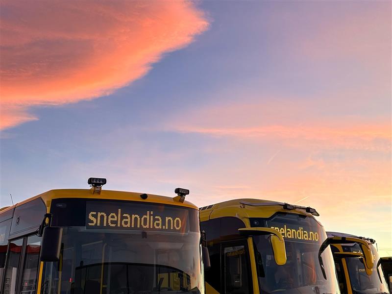 Fire parkerte gule Snelandiabusser fotografert i solnedgang, man kan kun se deler av bussfrontene.